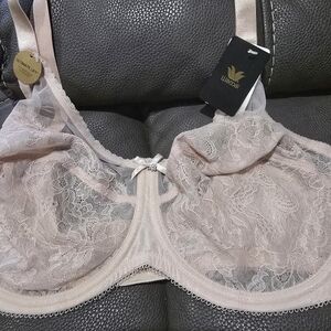 NWT Wacoal Lace Underwire Bra - Cream